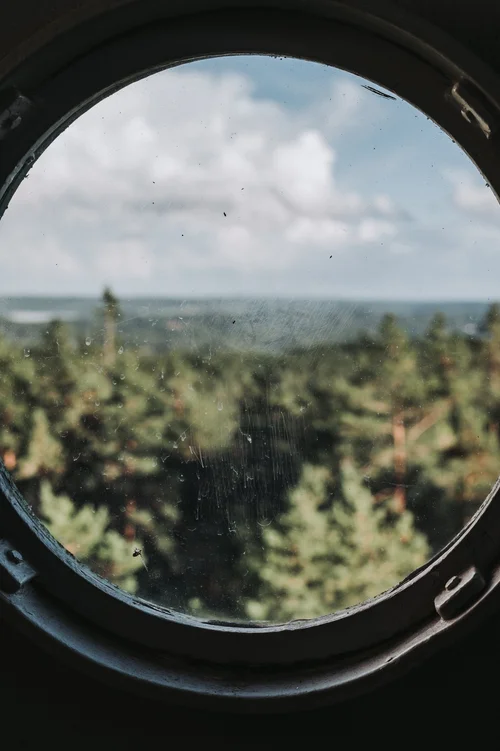 Blick durch ein rundes Aussichtsfenster über einen weiten Wald