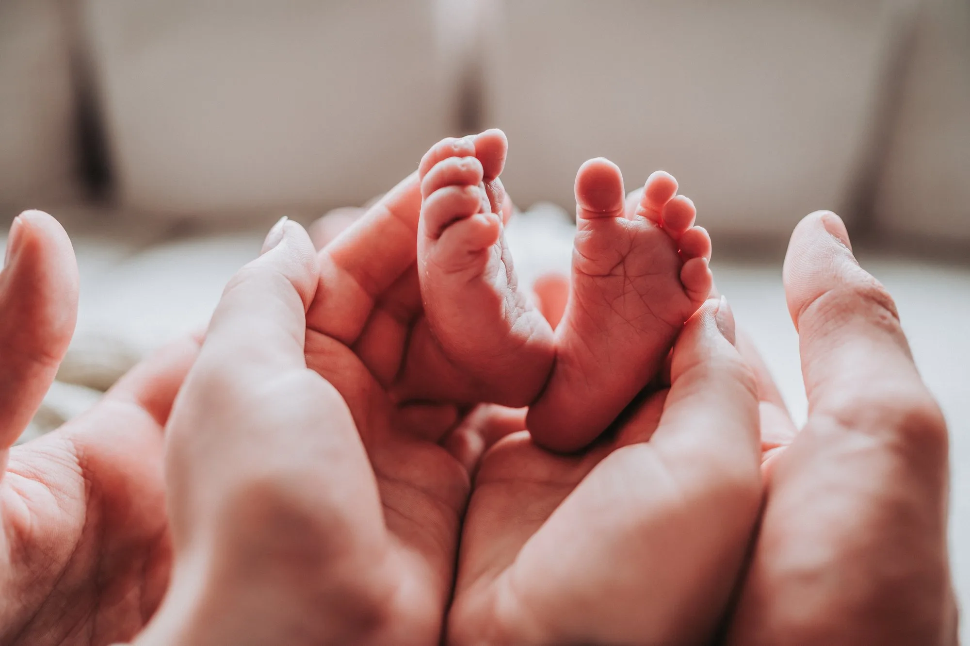 Winzige Babyfüße in den Händen der Eltern bei einem Newbornshooting in Dithmarschen