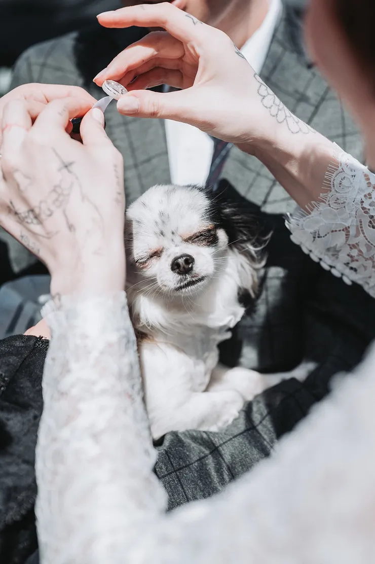 Trauung von Timon und Clare in der Hochzeitsmühle in Eddelak, Filmstreifen 5